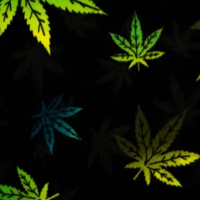 Anti Pill Fleece Print - FRESH - Leaf toss - Black / Turquoise